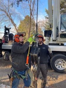 Two tree service workers preparing a device