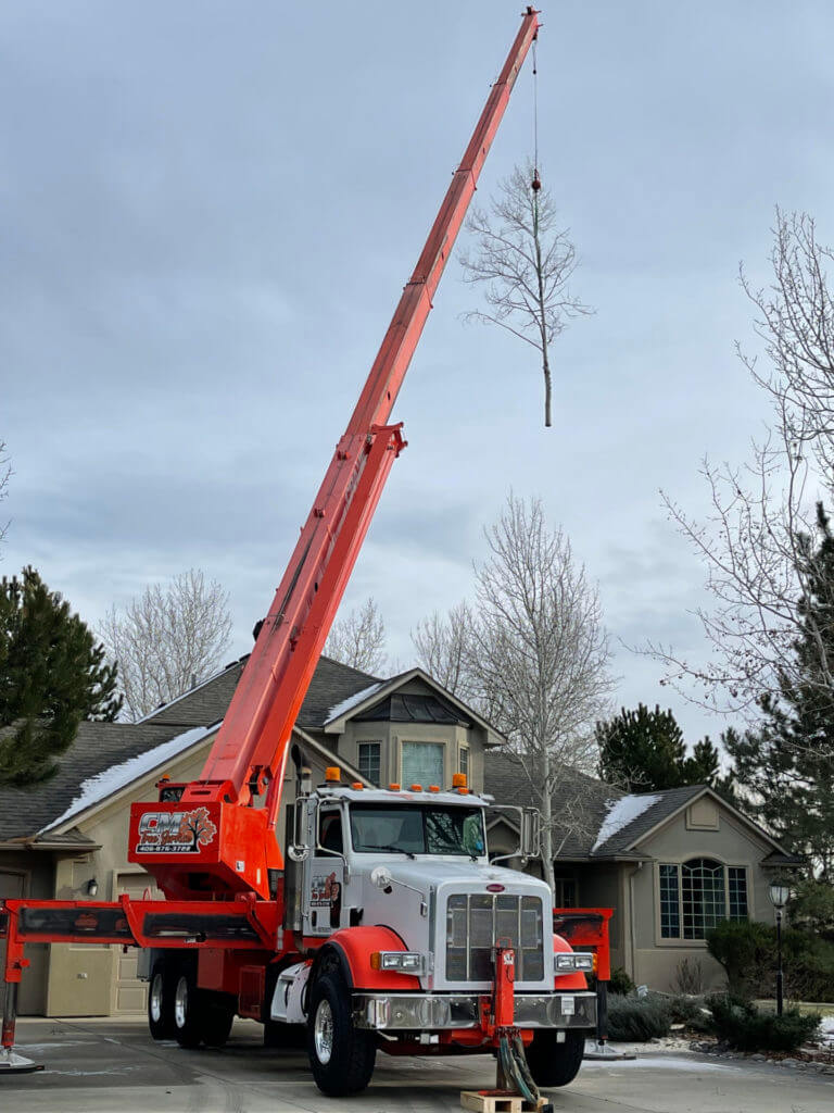 A tree removal truck in a driveway removing a branch