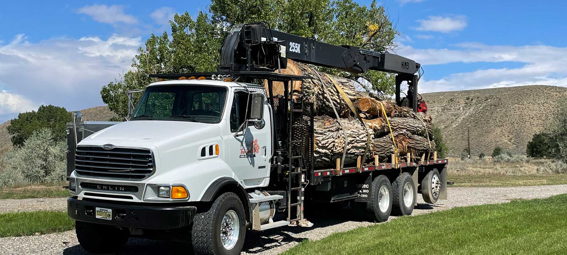 Truck Hauling Trees