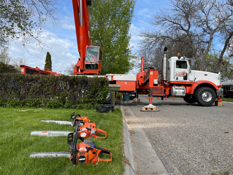 Chainsaws laid out on a lawn next to a crane