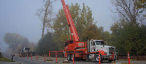 Tree Removal