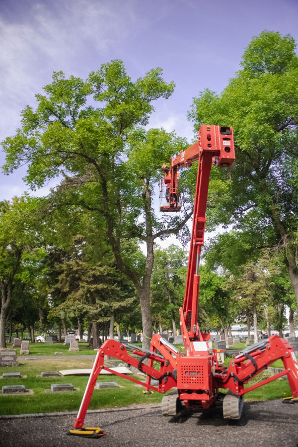 Spider Lift