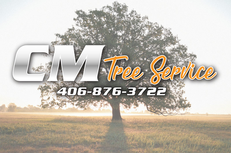 Contact Cm Tree Service